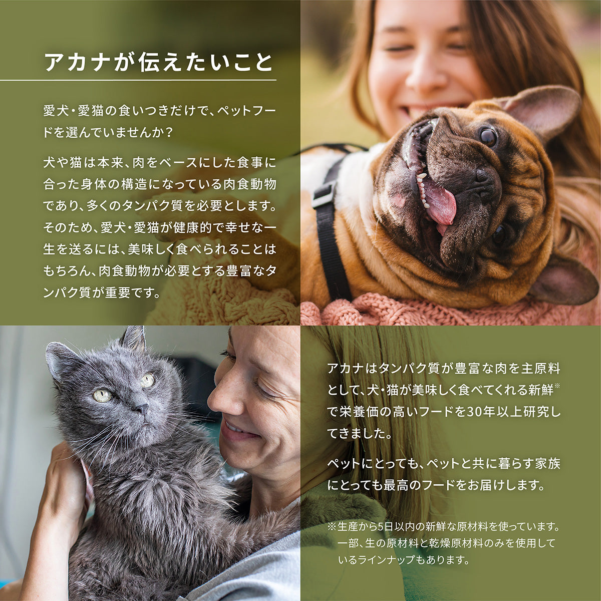 ACANA アカナ バウンティフルキャッチキャット 4.5kg 成猫用 (取り寄せ