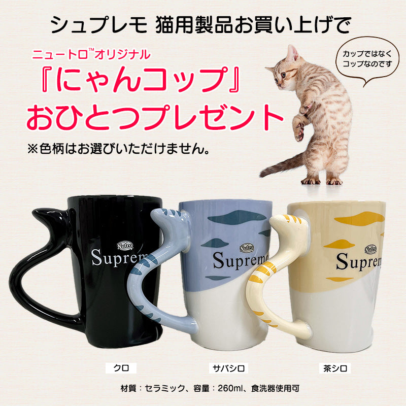 ニュートロ シュプレモ 成猫用 チキン＆サーモン 2kg NS506 (にゃん