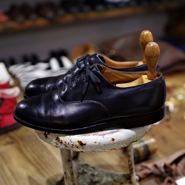 Alden 932 Plain Toe Dress Shoes : biscco 