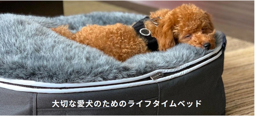 アンビエントラウンジ】ベッド取替カバーS Pets-first ONLINESTORE