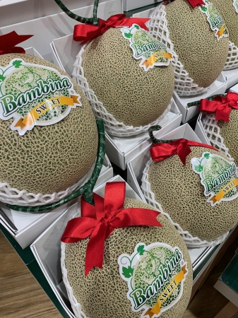 高嶺の花が手に届く価格に。新品種メロン「バンビーナ」初入荷