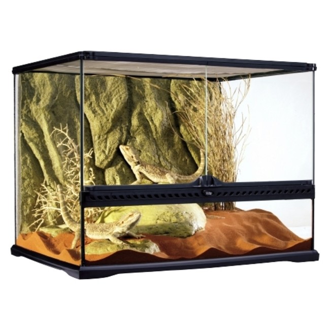 爬虫類・両生類飼育に最適なガラス製テラリウムケージ「EXO-TERRA