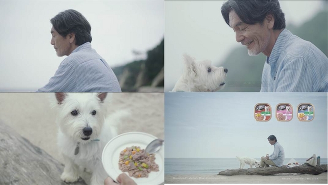 愛犬と男性の「絆」を感じる感動CM、シーザー®新TV CM「海でふたり」篇