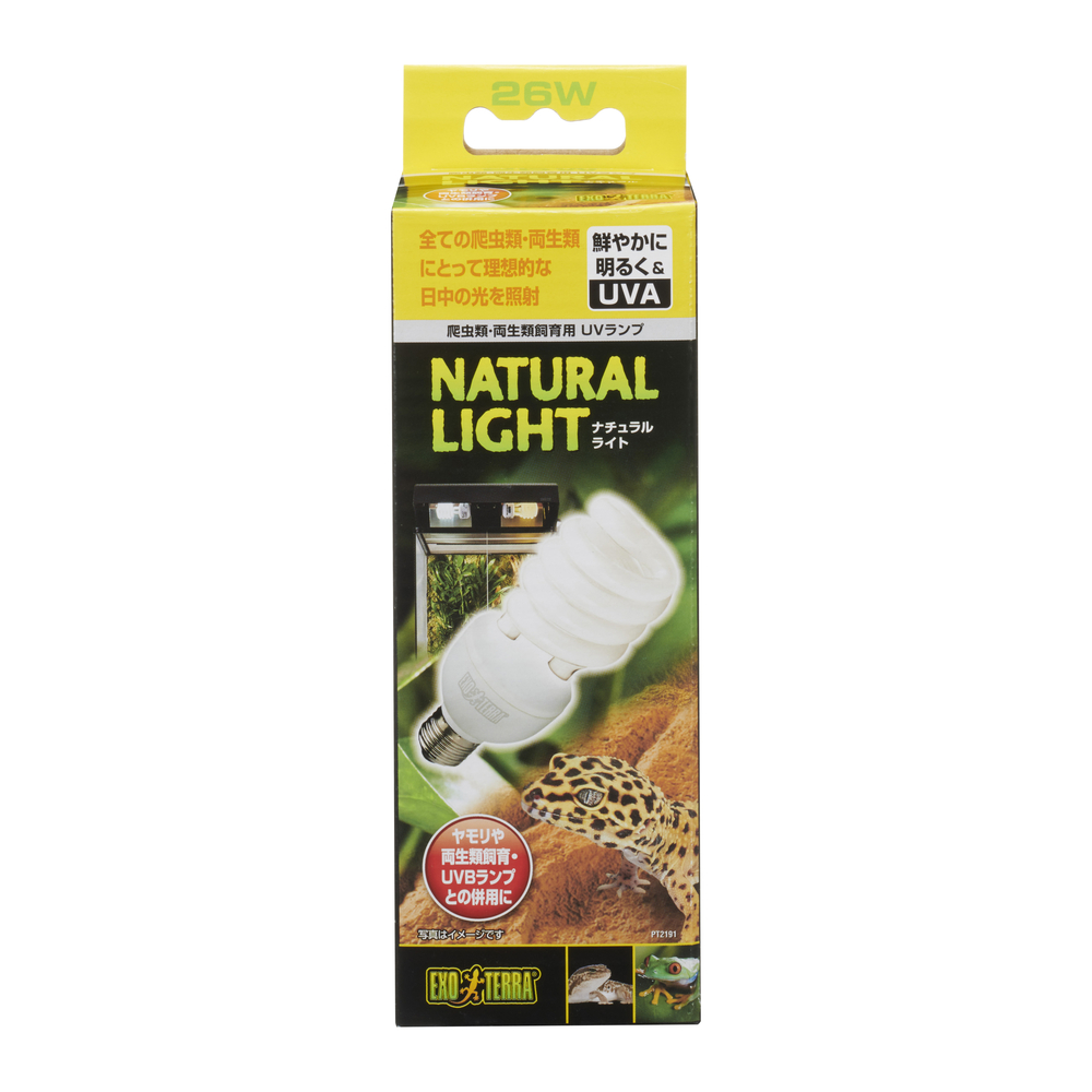 ナチュラルライト26W PT2191 | ジェックス株式会社