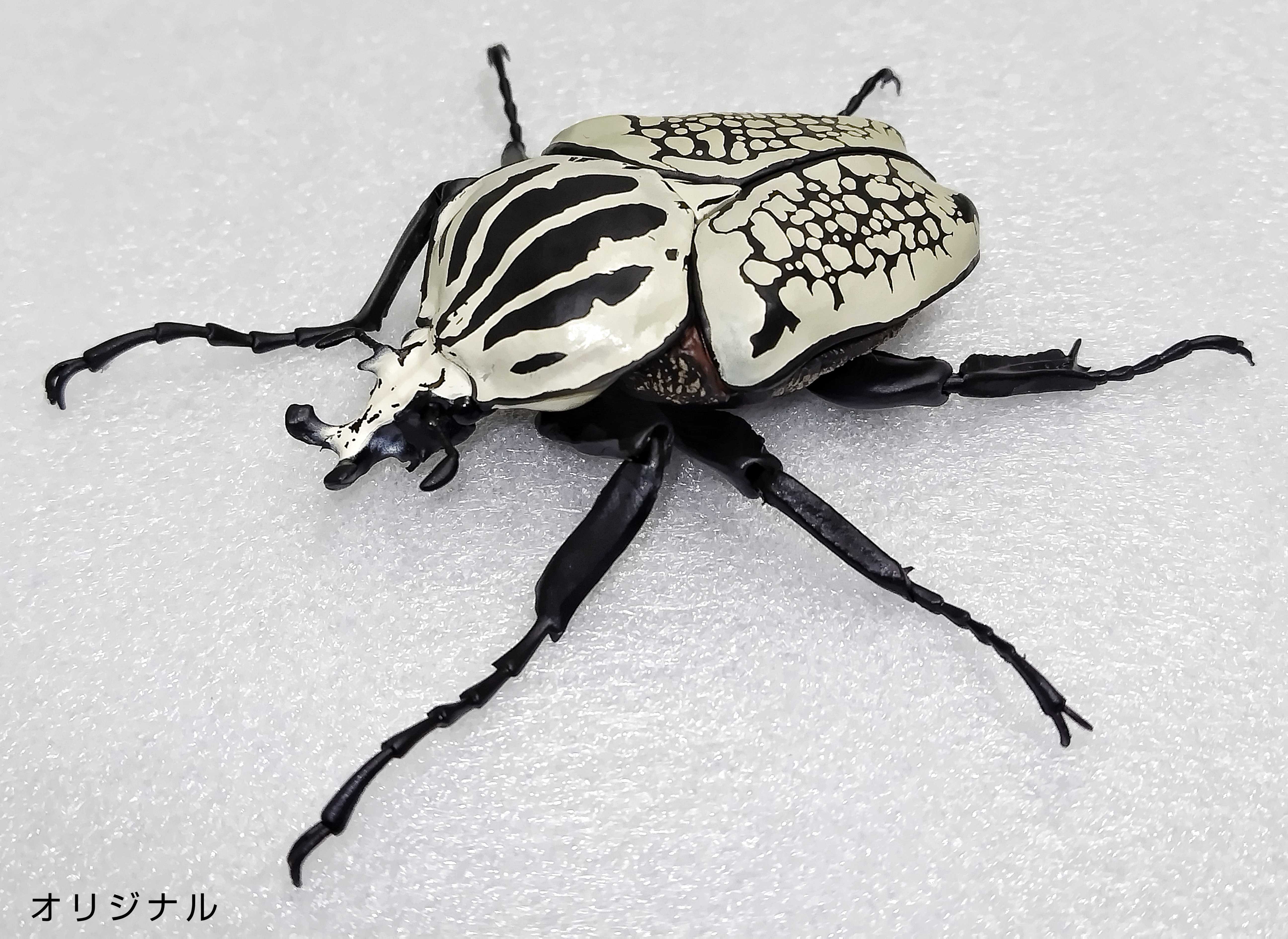 ゴライアスオオツノハナムグリ(カプセルトイ) - ✦ むし ぶろぐ ✦