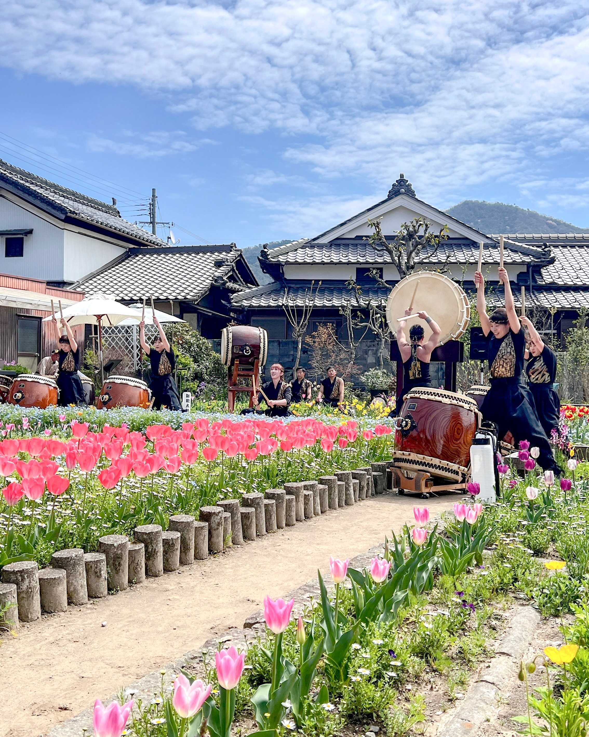 和太鼓奏者「新龍太鼓」2024チューリップコンサート - ニシハリ