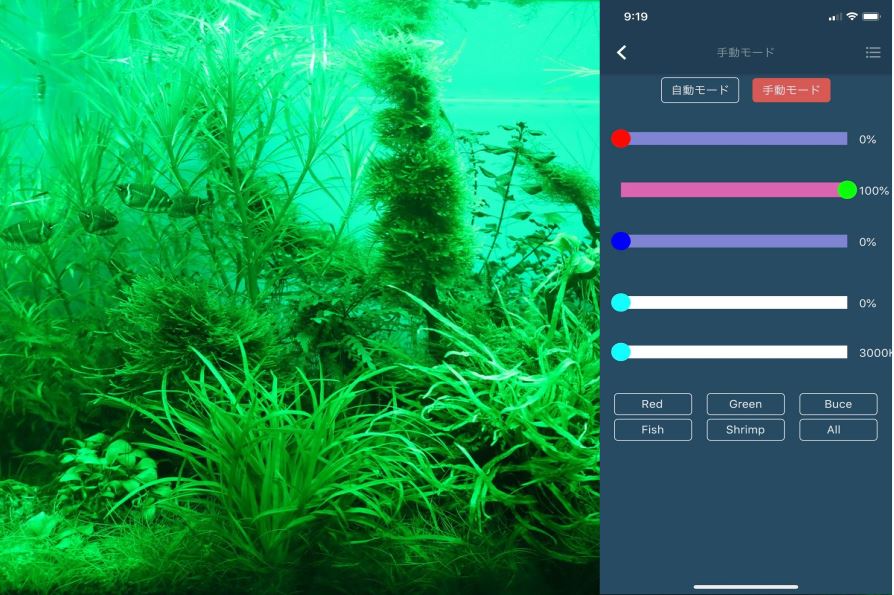 RGB VIVIDⅡ | 有限会社 Raboc(ラボック)