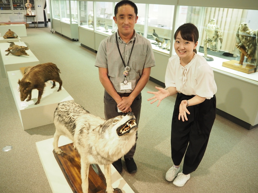 知れば知るほど面白い！奥深い標本の世界✨ | RadiChubu-ラジチューブ-