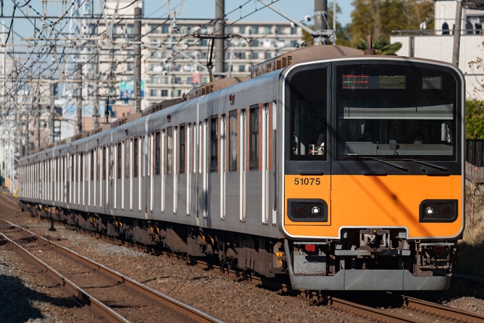 東武鉄道 東武50000系電車 Fライナー 51075 志木駅 鉄道フォト・写真