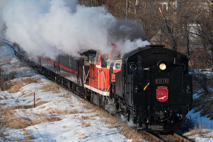 JR北海道 C11 171 (C11形) 車両ガイド | レイルラボ(RailLab)