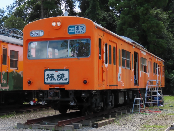 JR東日本 国鉄103系電車 クハ103-525 上総中川駅 鉄道フォト・写真 by