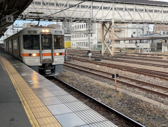 沼津鉄道 313.211さん | レイルラボ(RailLab)