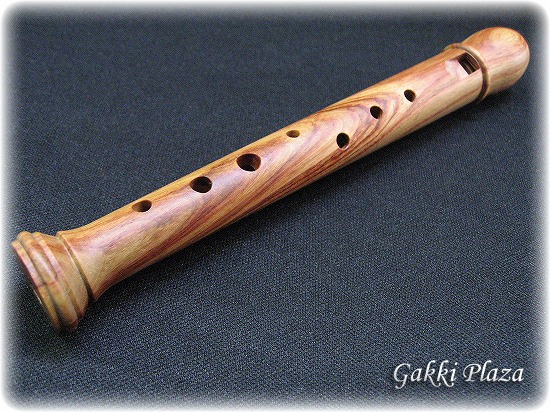 キュング・クライネソプラニーノ1108｜テレマン楽器