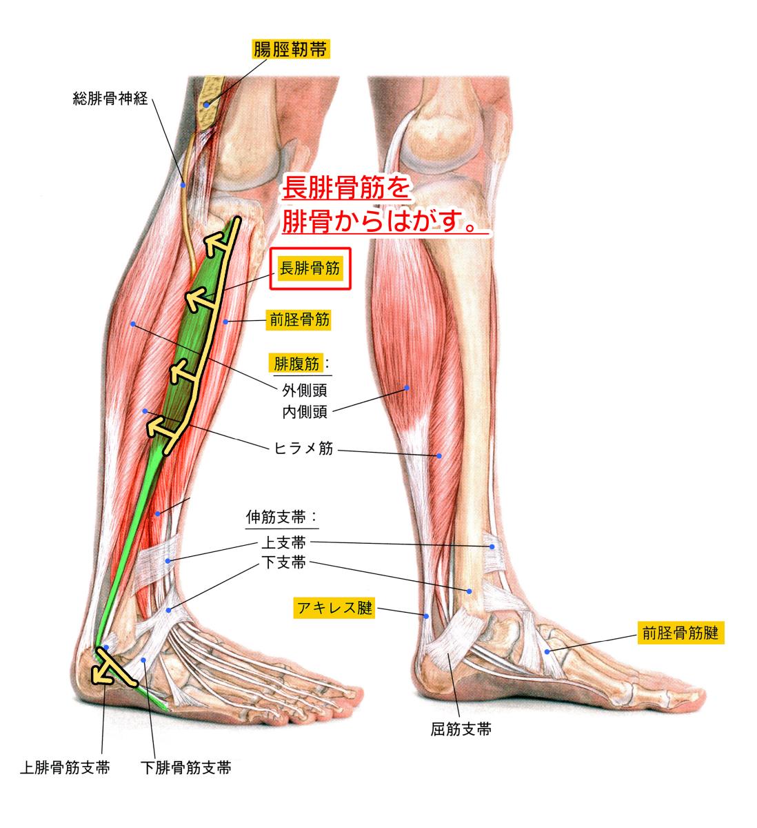 天城流湯治法 股関節痛 リックスマツヤ 天城流マイスター 小松 隆