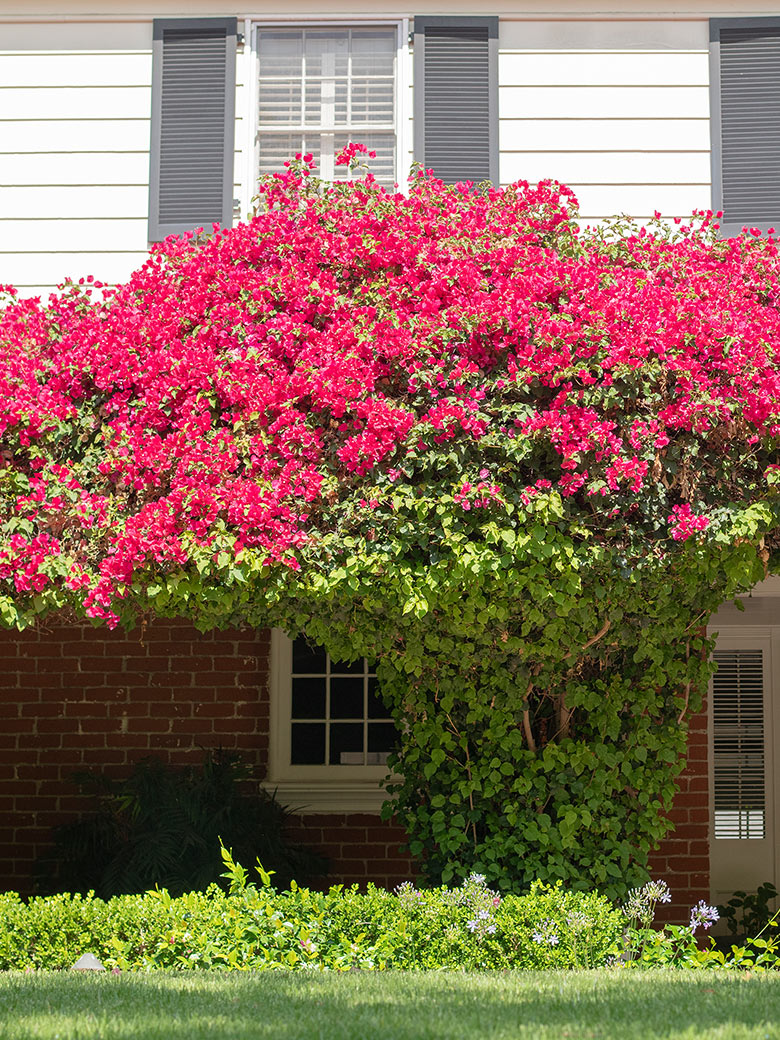 WELCOME BELOVED FUTURE｜Ron Herman 15th Anniversary｜Ron Herman