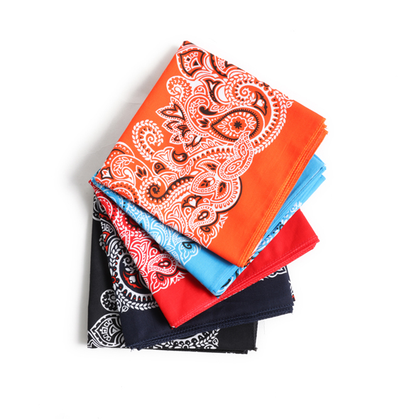 ペイズリー柄 バンダナ | ANCHOR SELECT | アンカーセレクト