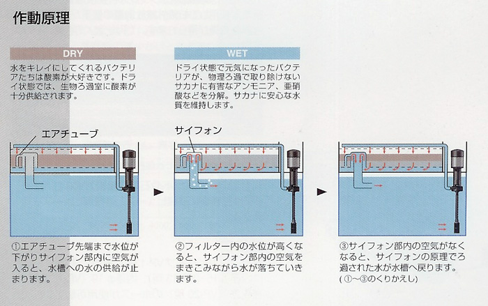 レイシー 上部フィルター RFGシリーズ【レヨンベールアクア】