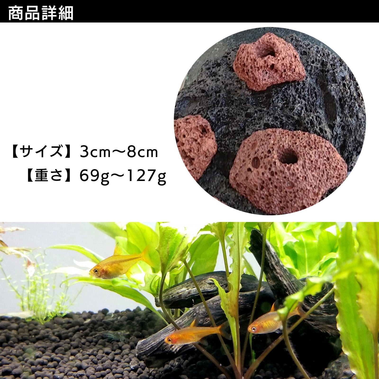 水槽 レイアウト 石 溶岩石 穴あき 水草固定用 SN-299-AY – S-net