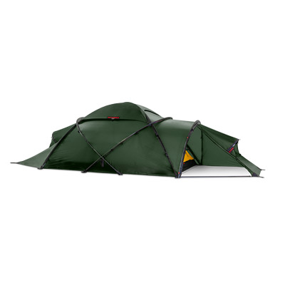 世*亀様 HILLEBERG Saitaris グリーン 美品！ ﾋﾙﾊﾞｰｸﾞ ﾃﾝﾄ ｻｲﾀﾘｽ GN