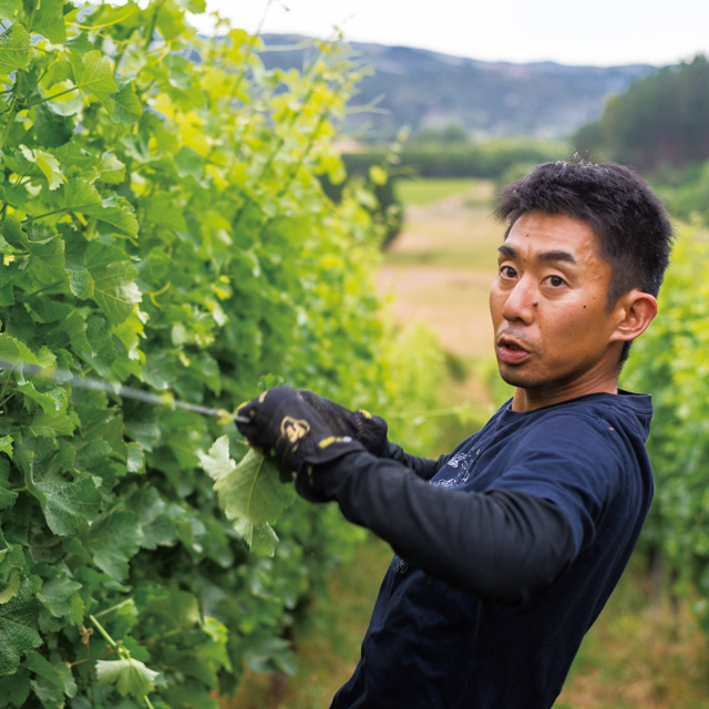 Green Songs Amber Pinot Gris – 株式会社サザンクロス