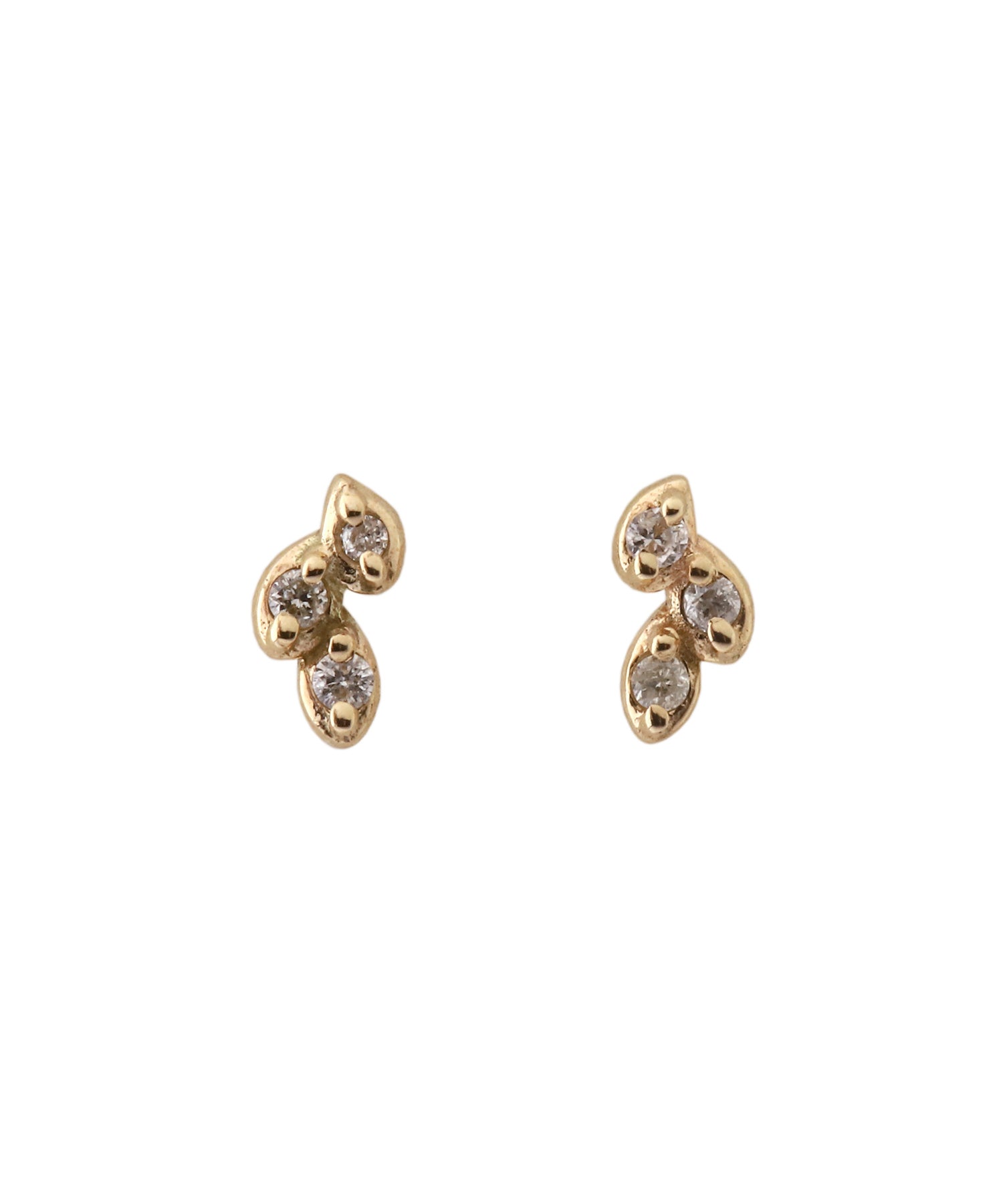 Pierces -SIENA ROSE- – SANPO ONLINE