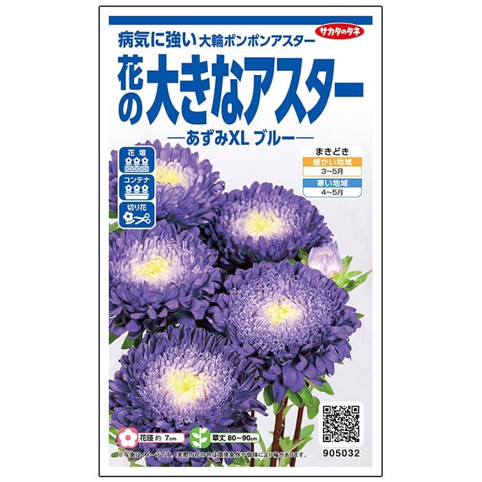 アスター あずみXL ブルー｜種（タネ）,球根,苗,資材,ガーデニング