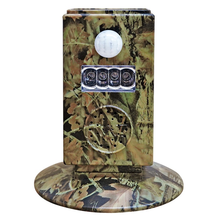 警備庁24時 レンジャー5 SP-55｜種（タネ）,球根,苗,資材,ガーデニング