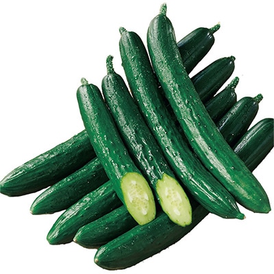 キュウリの検索結果｜種（タネ）,球根,苗,資材,ガーデニンググッズの