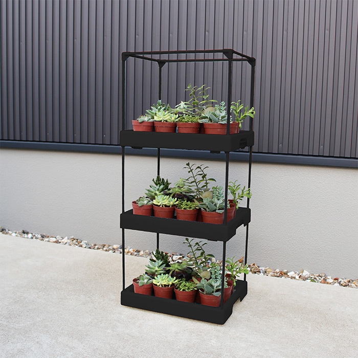 多肉マンション｜種（タネ）,球根,苗,資材,ガーデニンググッズの通販は