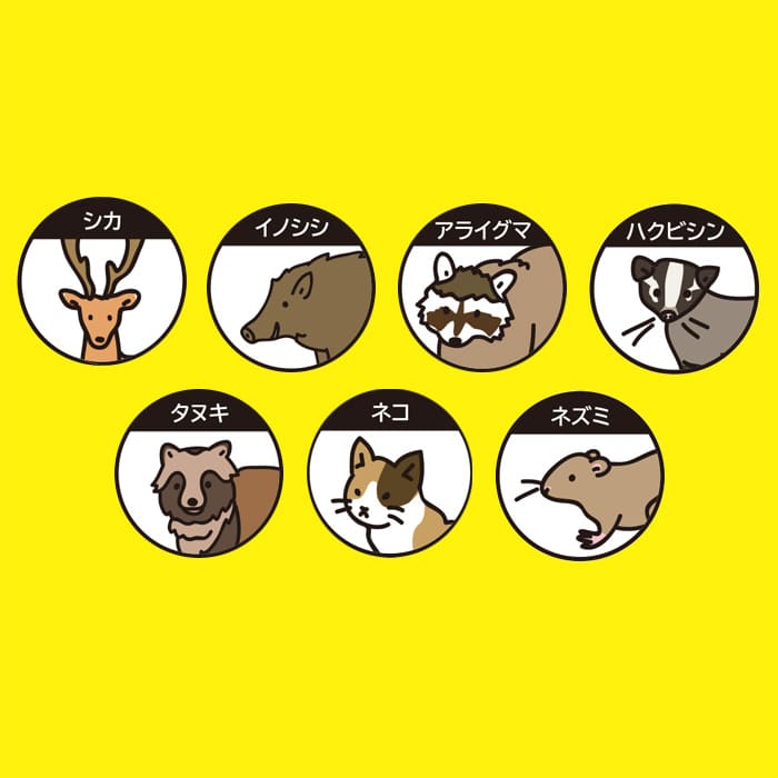 警備庁24時 レンジャー5 SP-55｜種（タネ）,球根,苗,資材,ガーデニング