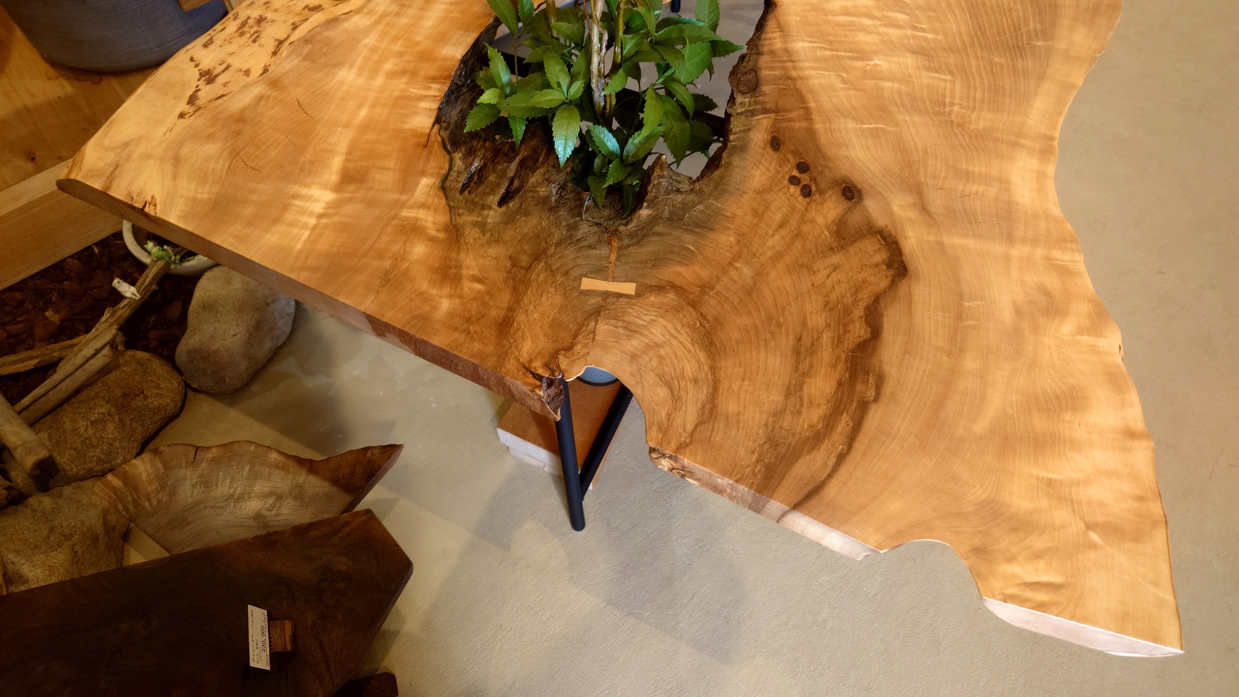 本店『家族が集う木のテーブルフェア』 | イベント情報 | さしこう