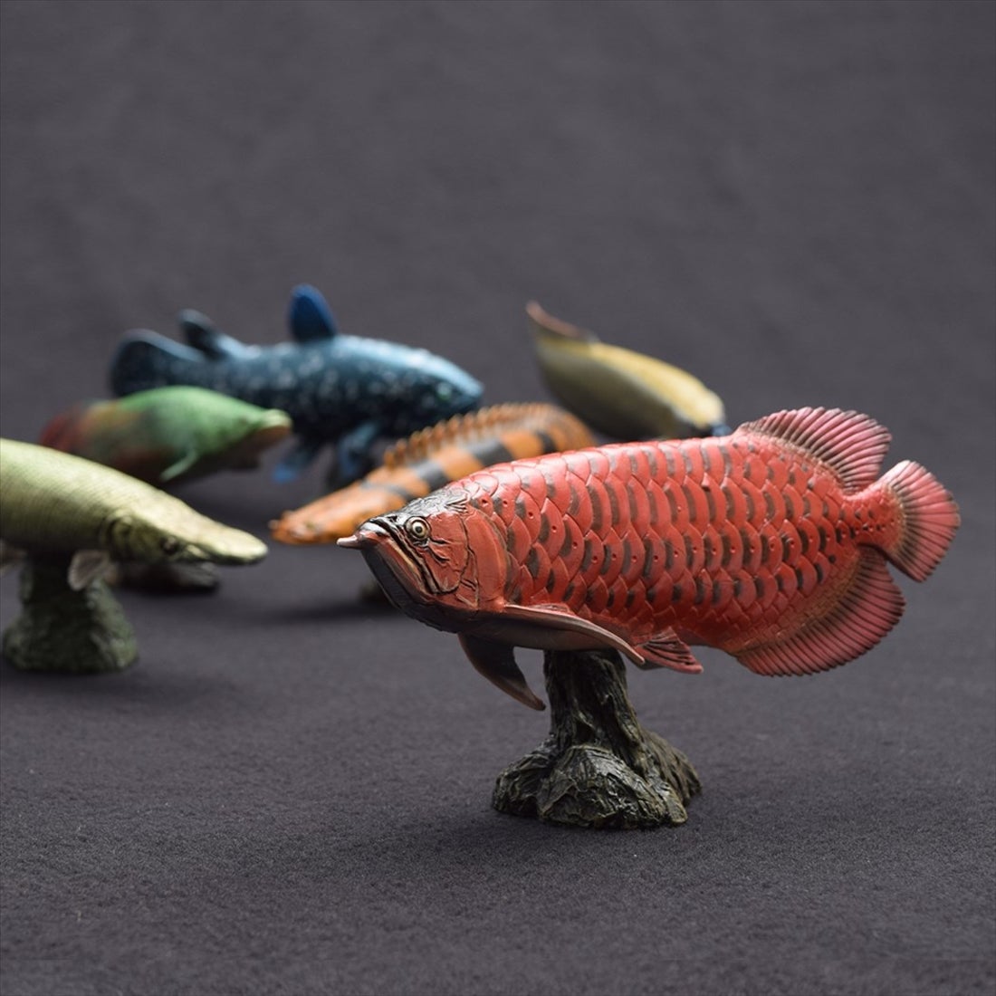 シネマコレクション cinemacollection アジアアロワナ フィギュア