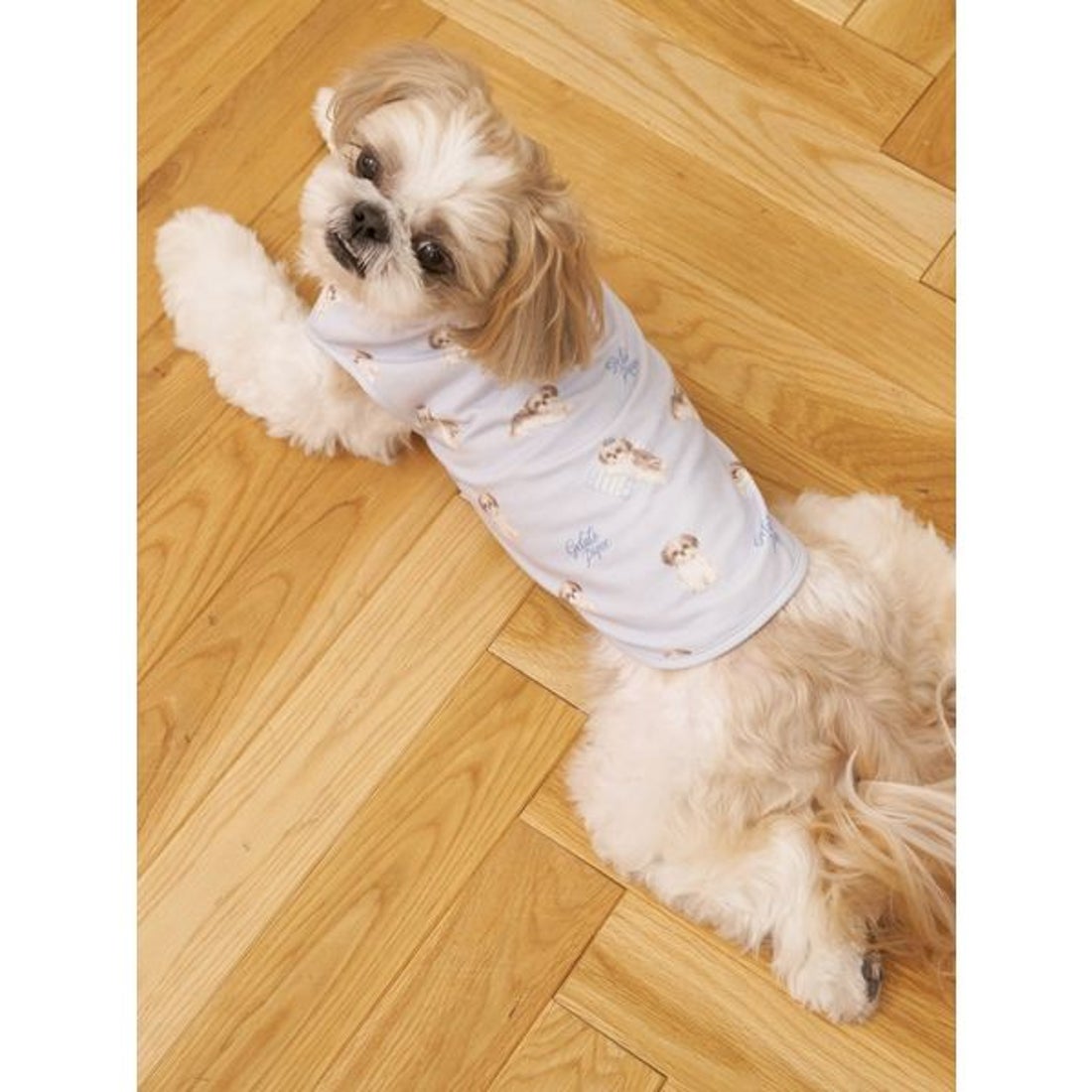 ジェラートピケ gelato pique 【CAT&DOG】シーズー柄プルオーバー