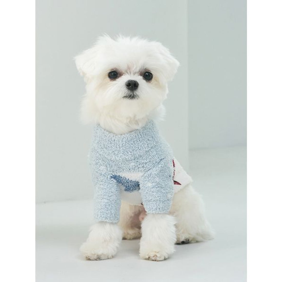 ジェラートピケ gelato pique 【HOLIDAY】【CAT&DOG】スキーベア