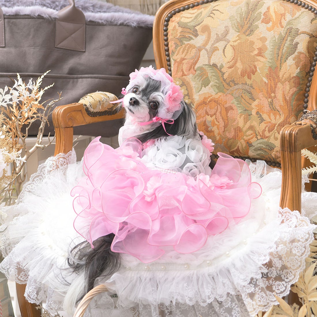 リュクスバーディ Luxe birdie バーディ Luxe birdie ロズレドレス M