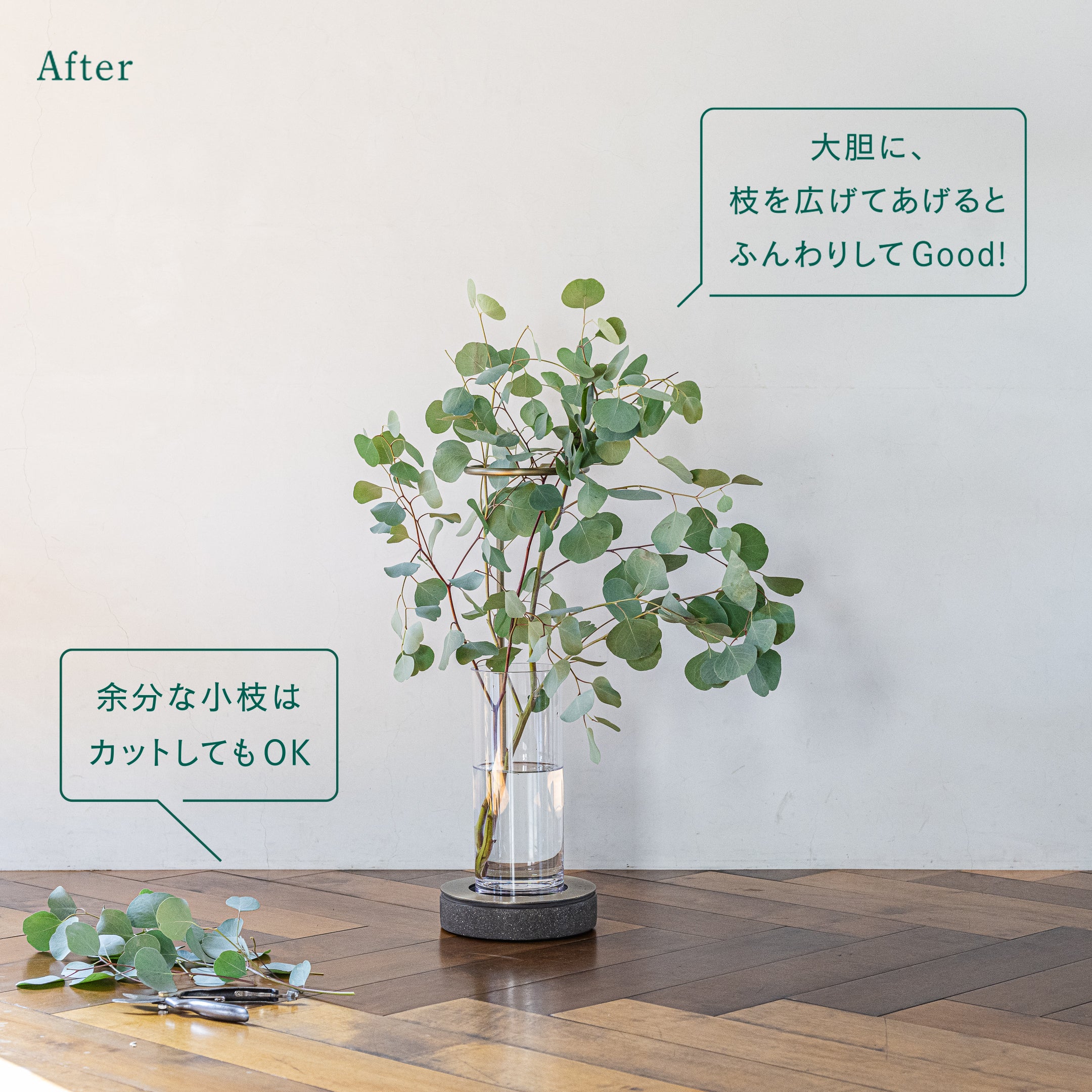 Img0282.jpg?v=1699946534&width