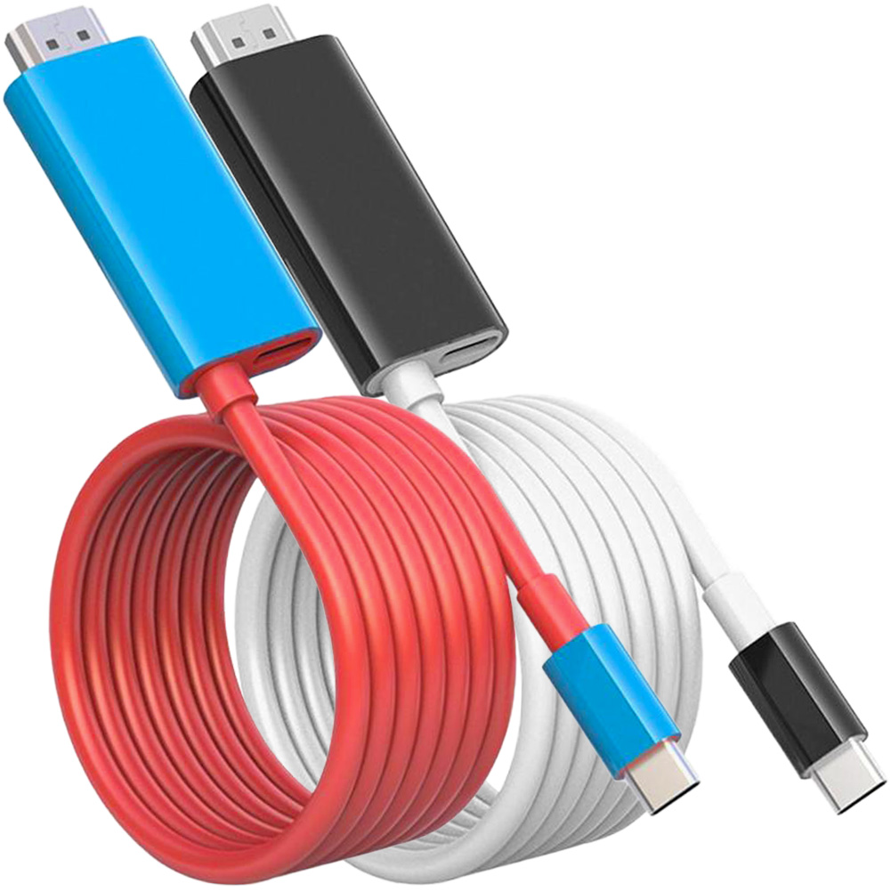 爆買 Switch ドック HDMI 変換ケーブル 2本セット Type C USB スイッチ