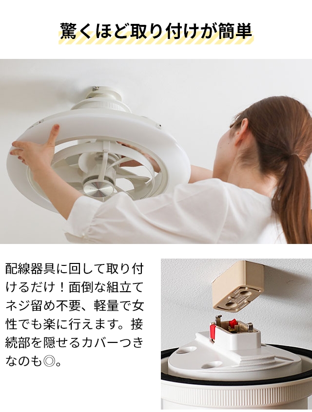 DOSHISHA（ドウシシャ） 選べる豪華特典 サーキュライト EZシリーズ