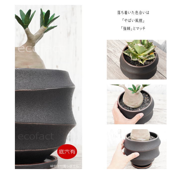 陶器鉢 植木鉢 ミニポット 底穴あり 皿付 ループ φ19cm プランター