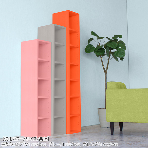 arne（アーネ） 本棚 大容量 カラーボックス オープンラック 2段