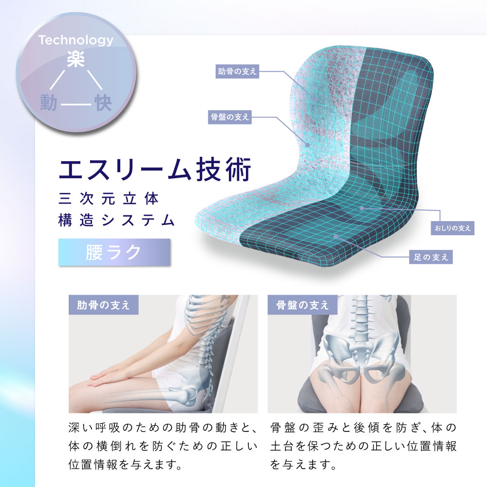 p!nto（ピント） 最新モデル pinto W 日本製 骨盤 姿勢矯正 クッション