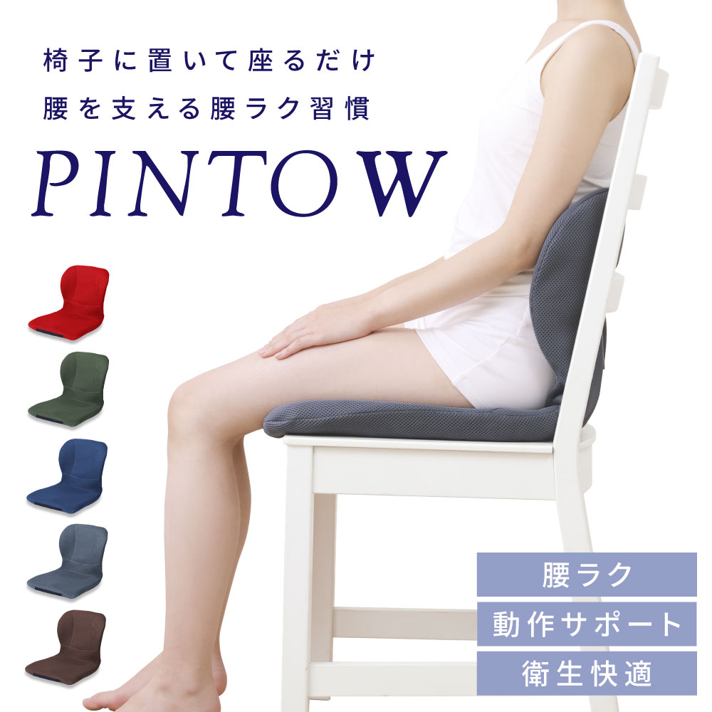 p!nto（ピント） 最新モデル pinto W 日本製 骨盤 姿勢矯正 クッション