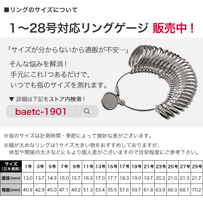 Binich（ビニッチ） シグネットリング カレッジリング メンズ シルバー