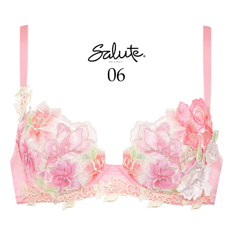 サルート（SALUTE） ワコール 06G ブラジャー P-up プッシュアップ