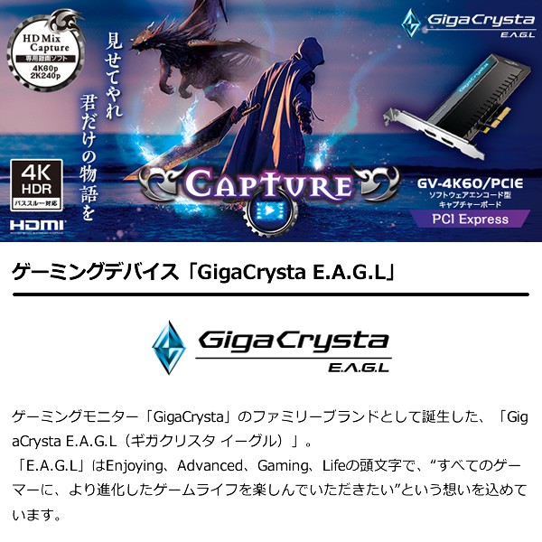 I-O DATA（アイ・オー・データ機器） IOデータ 4K/60p記録対応