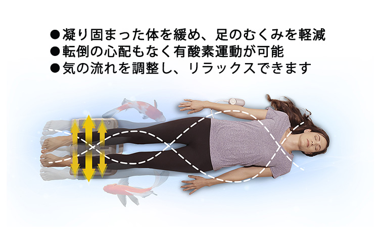 爆買 金魚運動マシーン バイタリティー・スイング Daiwa Felicity