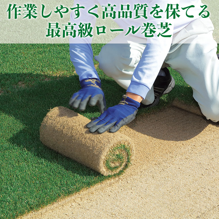 芝生 天然芝 三種混合ロール巻芝 (芝生 通販) : イベリアの太陽 - 通販