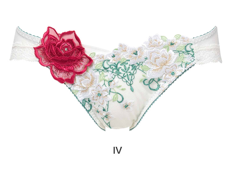 サルート（SALUTE） ワコール 16グループ 16G スタンダードショーツ M