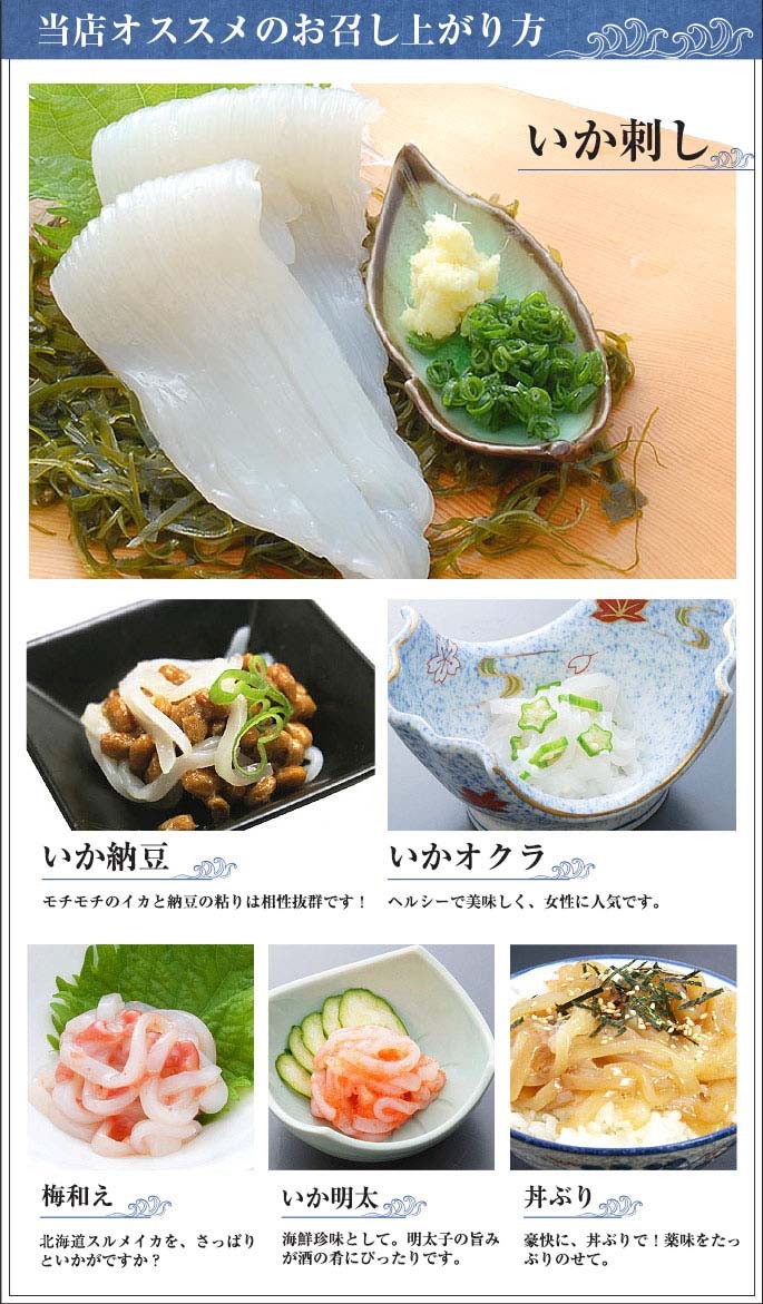 北海道いかそうめん 半波 8枚 / トナミ食品 北海道産 イカ いかさし