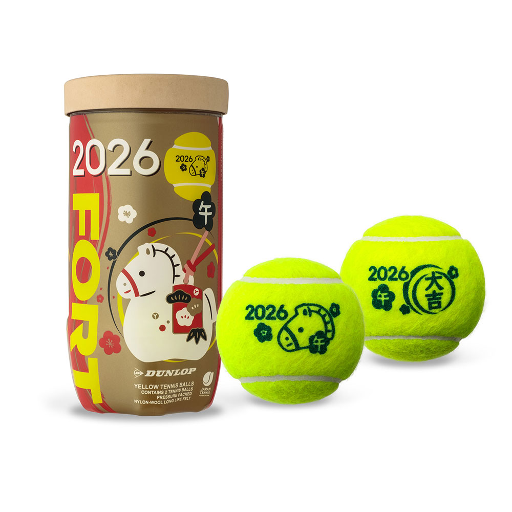 テニスボール ダンロップ フォート 30缶のおすすめ人気商品一覧 通販